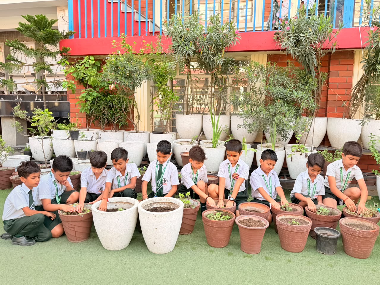 School plantation drive